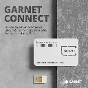 Garnet-4.webp