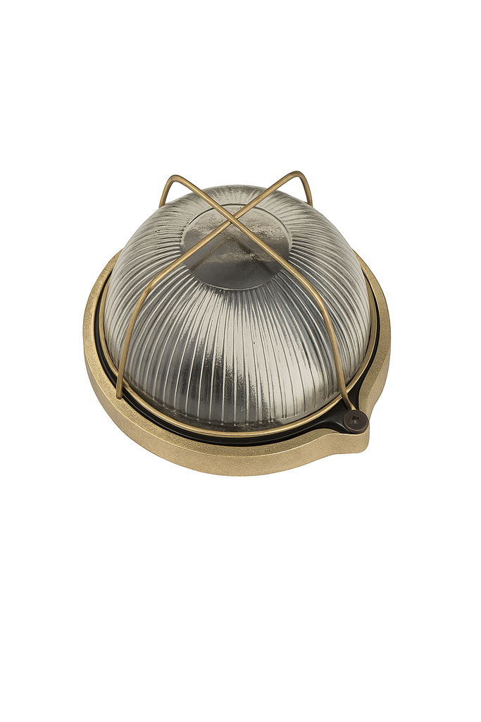 CALU TORTUGA CHAPA REDONDA 60W DORADA