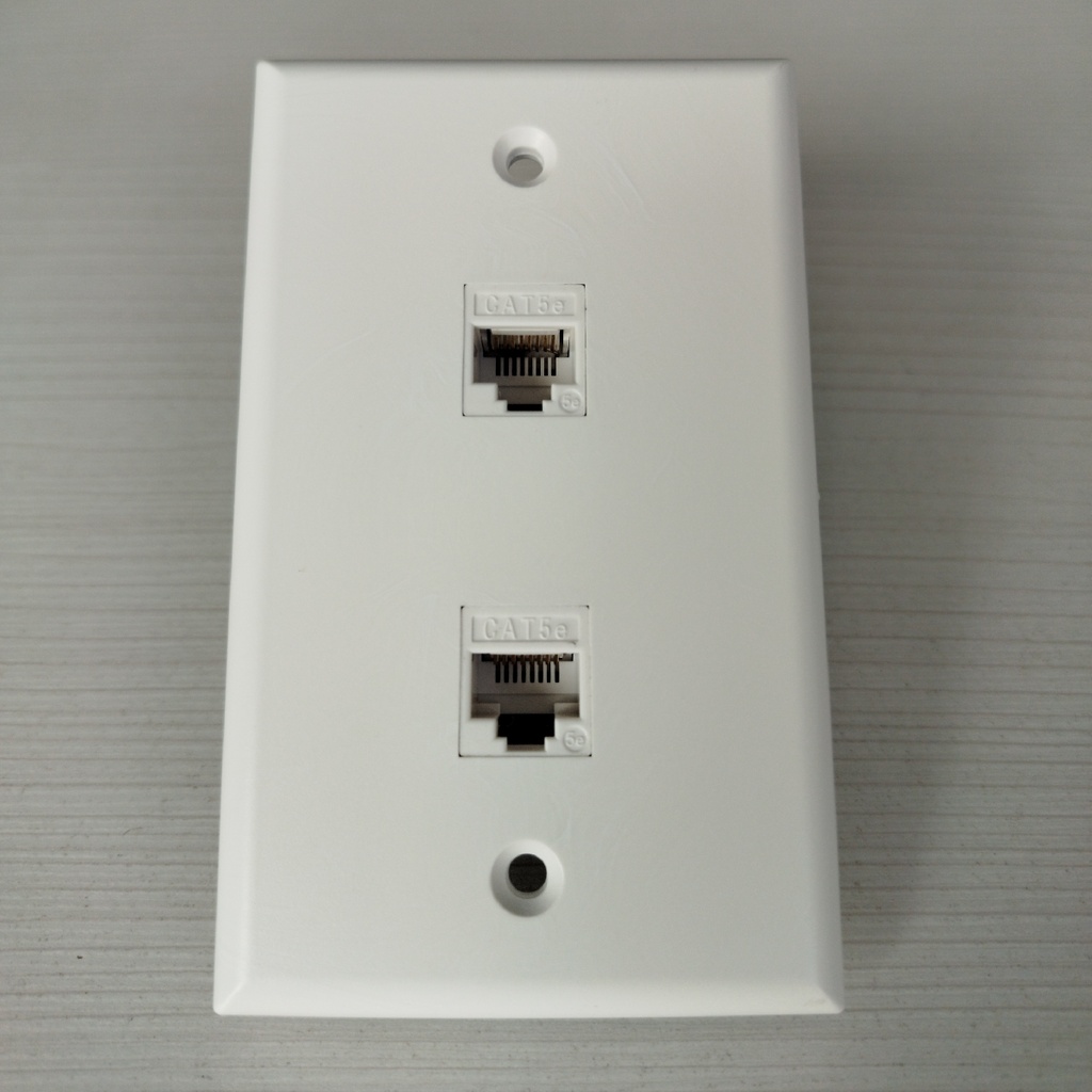 ALINS FACE PLATE 2PORT