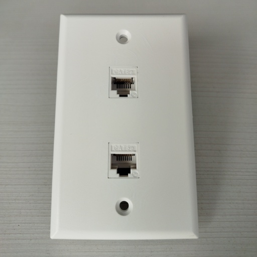 [AL112] ALINS FACE PLATE 2PORT